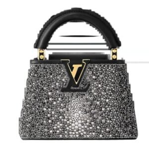 LOUIS VUITTON CAPUCINES NANO