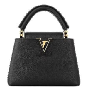 LOUIS VUITTON CAPUCIINES MINI