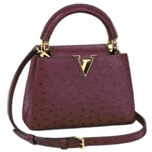 LOUIS VUITTON CAPUCINES MINI