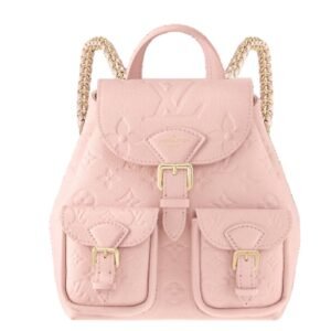 LOUIS VUITTON BACKUP