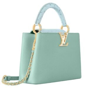 LOUIS VUITTON CAPUCINES BB