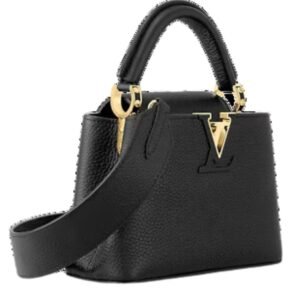 LOUIS VUITTON CAPUCIINES MINI