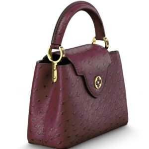 LOUIS VUITTON CAPUCINES MINI