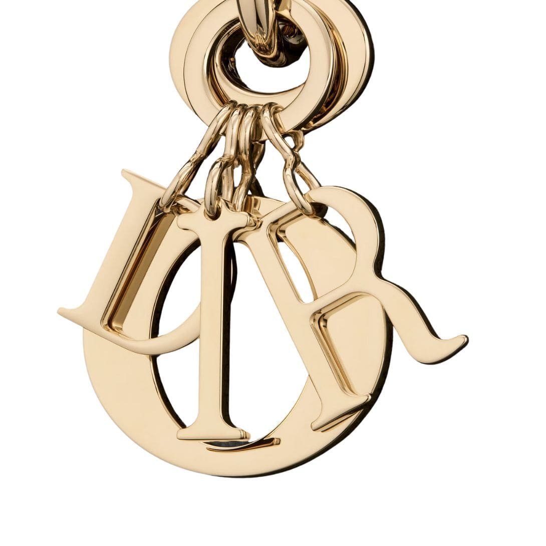 DIOR EXTRA LARGE D SIRE BAG - Image 5