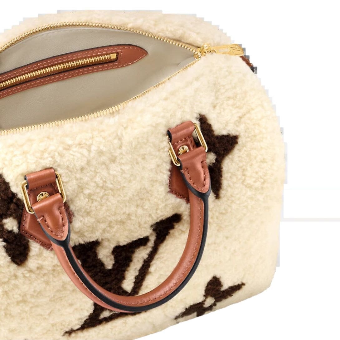 LOUIS VUITTON SPEEDY BANDOULIERE 25 - Image 4