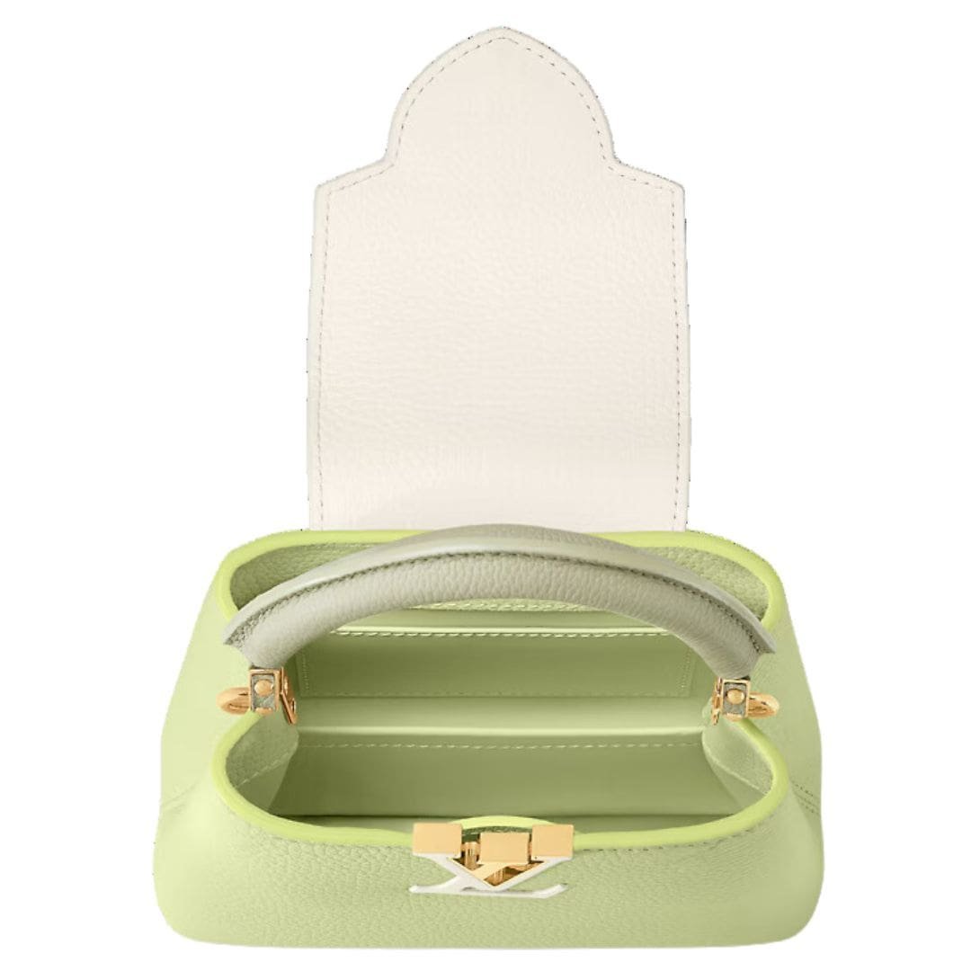 LOUIS VUITTON CAPUCINES MINI - Image 3