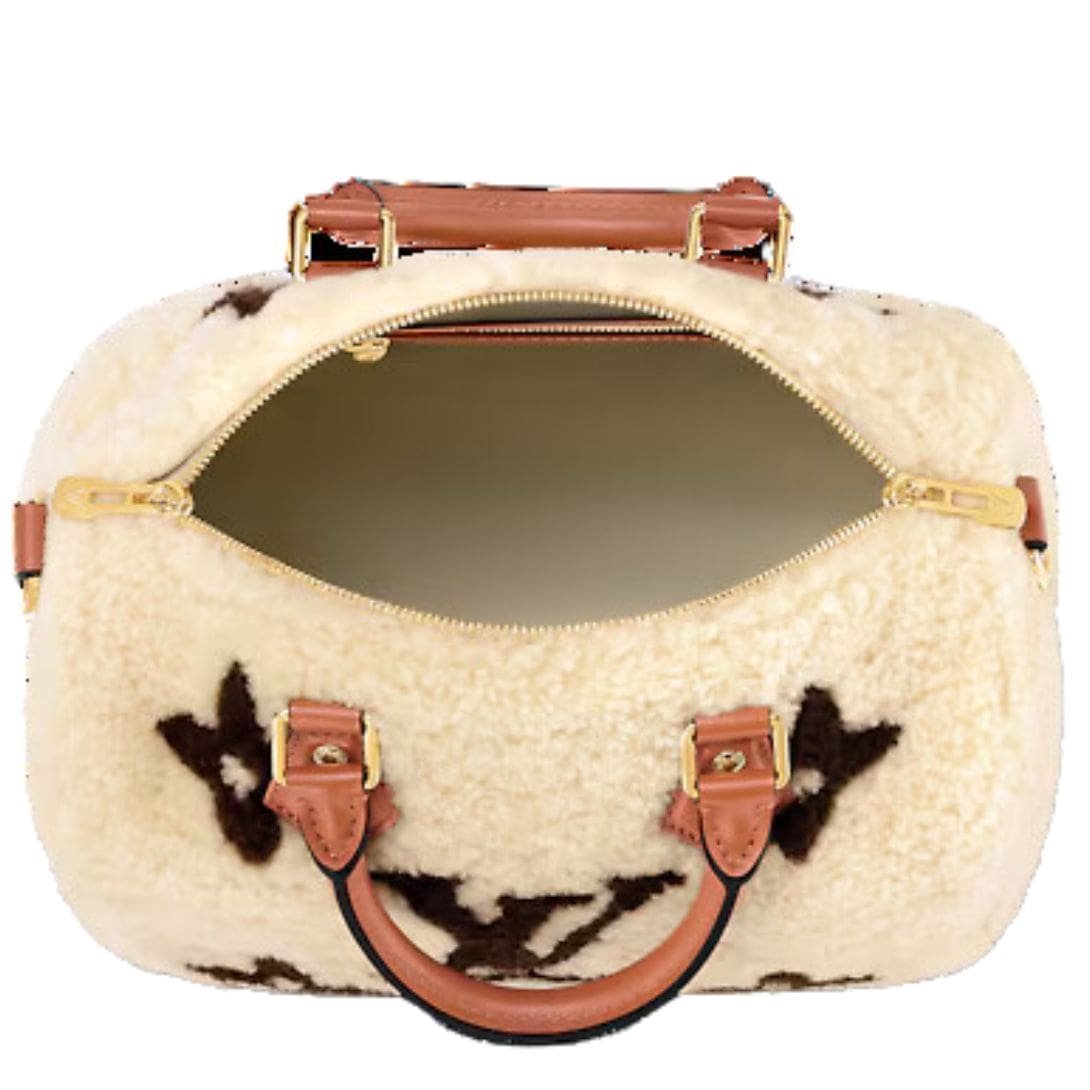 LOUIS VUITTON SPEEDY BANDOULIERE 25 - Image 5