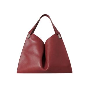 THE ROW ALEXIA BAG IN LEATHER