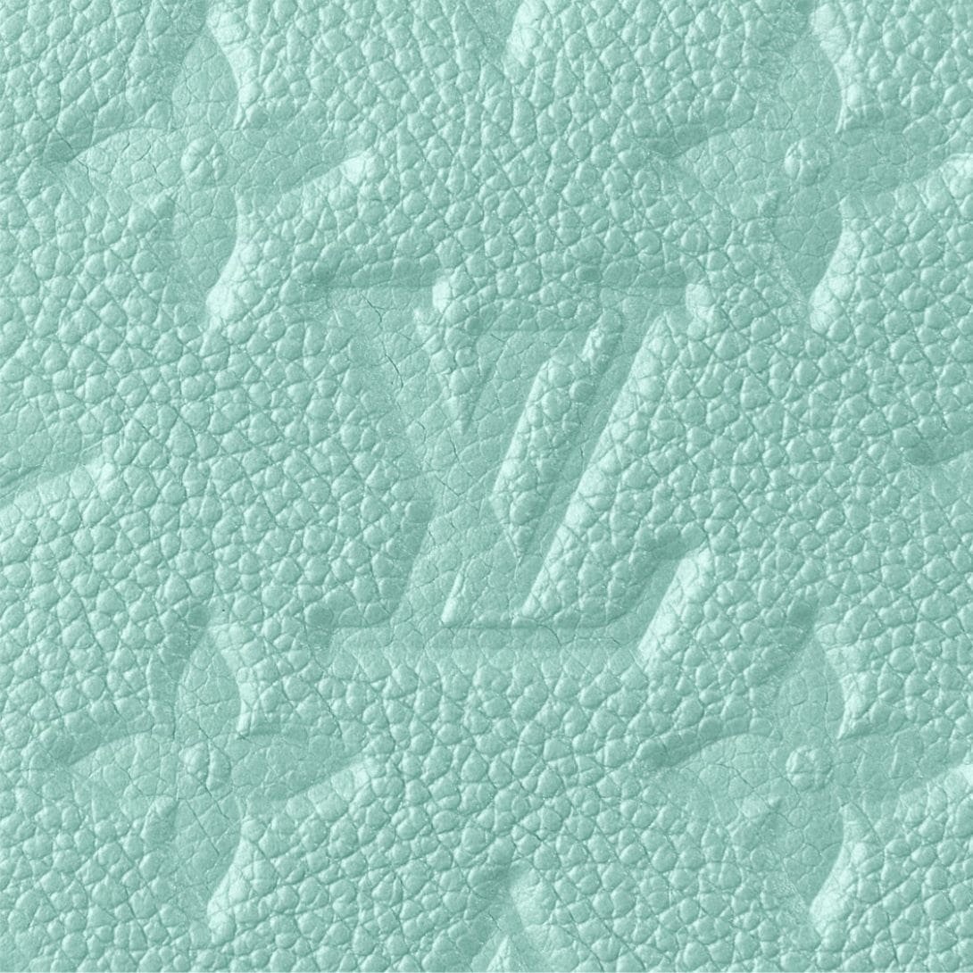 LOUIS VUITTON MICRO VANITY - Image 4