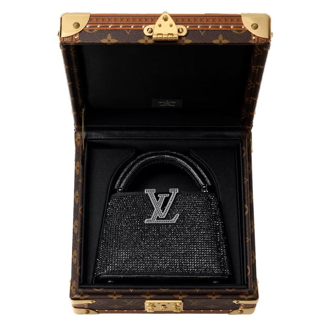 LOUIS VUITTON CAPUCINES NANO - Image 6