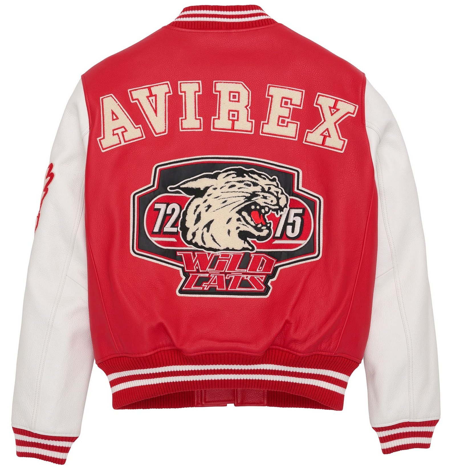AVIREX WILD CAT VARSITY Leather Jacket - Image 2