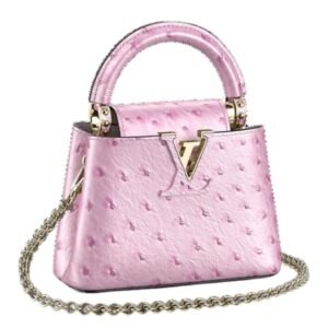 LOUIS VUITTON CAPUCINES NANO