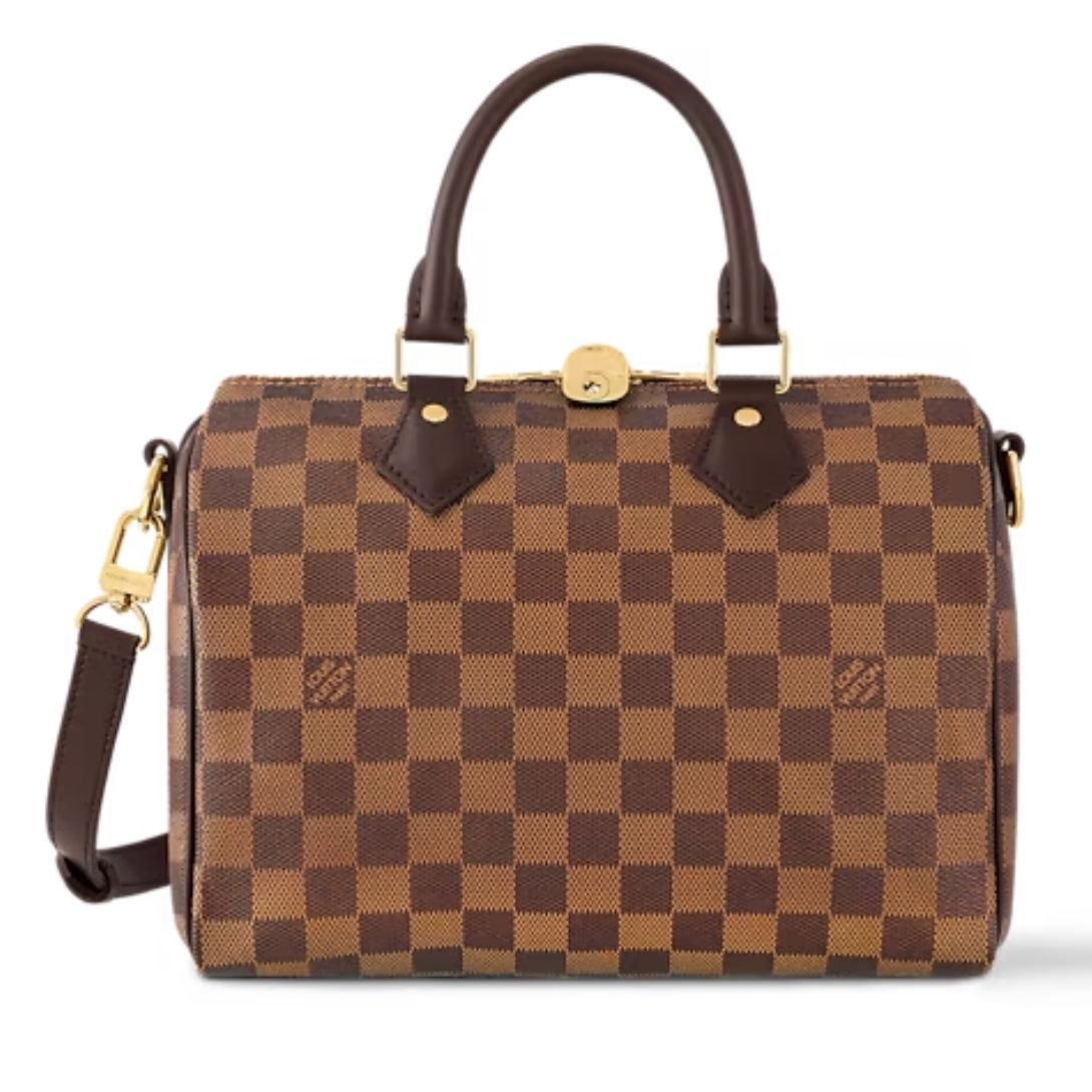 LOUIS VUITTON DAMIER EBENE SPEEDY 25