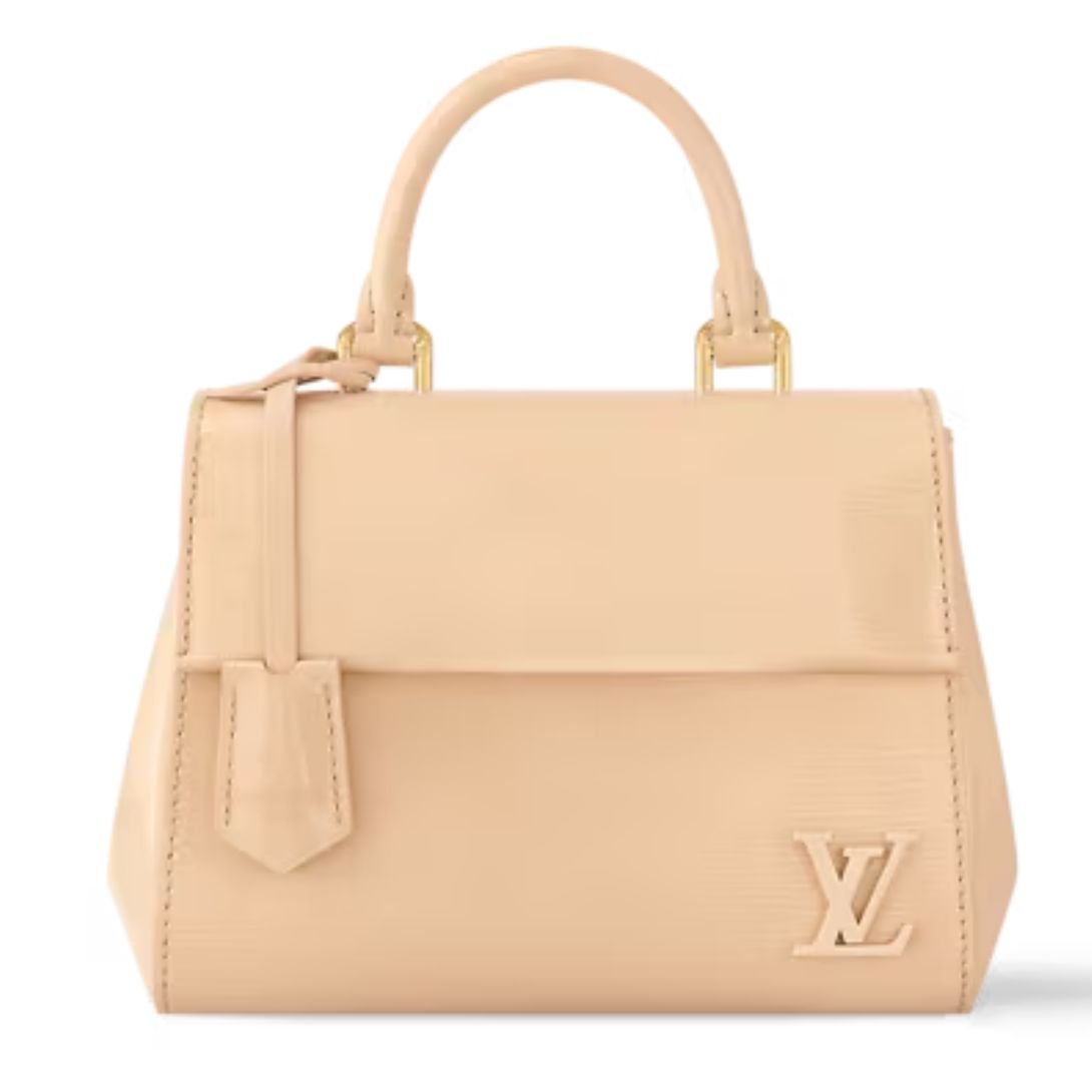 LOUIS VUITTON CLUNY MINI