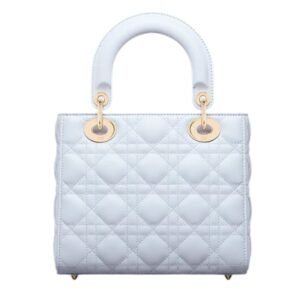 WOMEN DIOR SMALL MY ABCDIOR BAG SHIRT BLUE